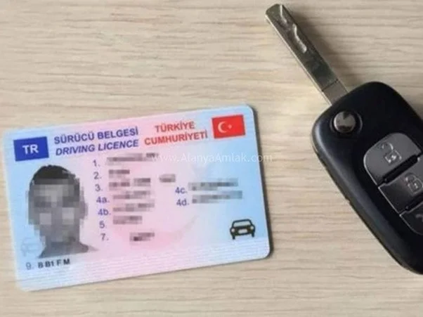 گواهینامه رانندگی لایه باز خارجی