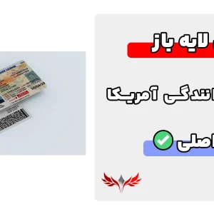 گواهینامه رانندگی لایه باز آمریکا