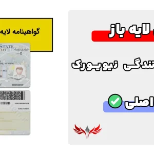 گواهینامه رانندگی لایه باز نیویورک