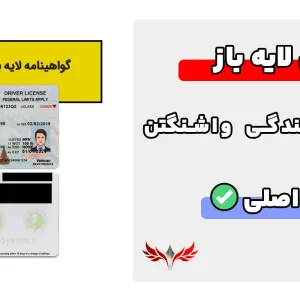 گواهینامه رانندگی واشنگتن لایه باز