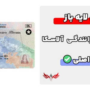 گواهینامه رانندگی آلاسکا لایه باز
