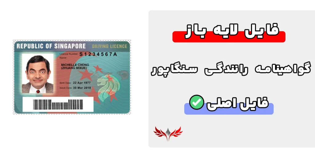 گواهینامه رانندگی سنگاپور لایه باز