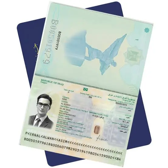 پاسپورت لایه باز
